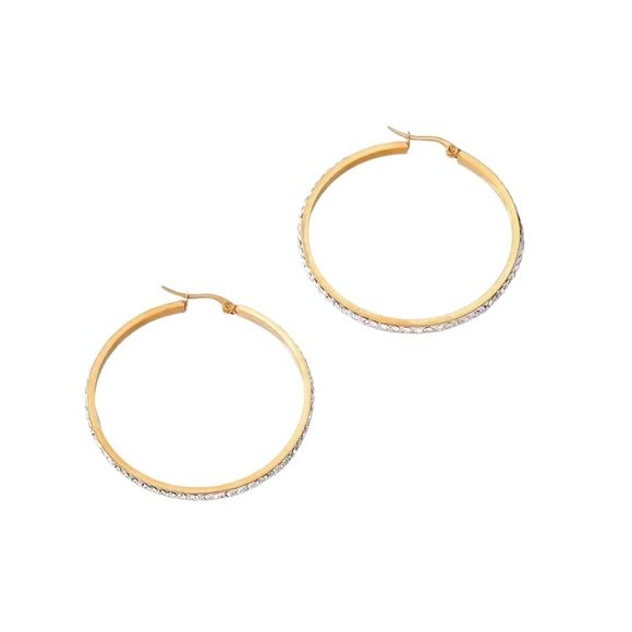 Fashion Hoop Gold plated Earrings - Picture 4 of 5
